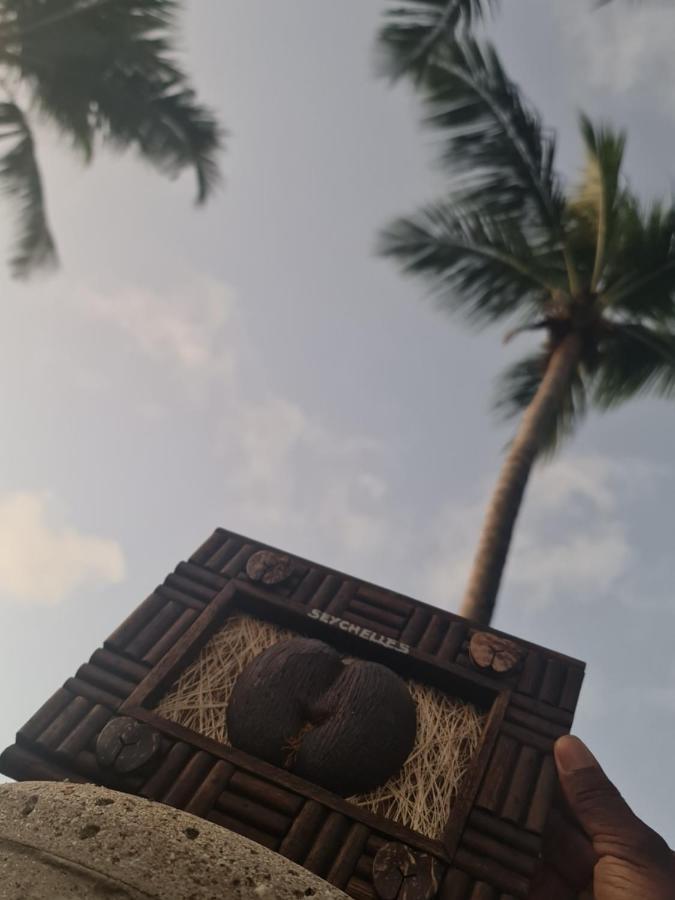 Ocean Jewels Hotel Grand Anse  Exterior foto